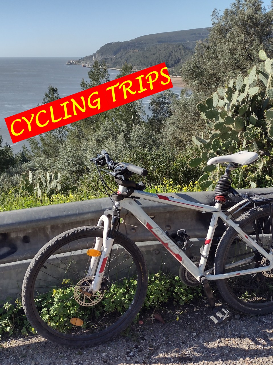 Let’s go cycling!